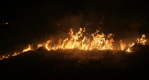 INCENDIE A DAROU SALAM - Un enfant de 10 ans perd la vie sous les flammes