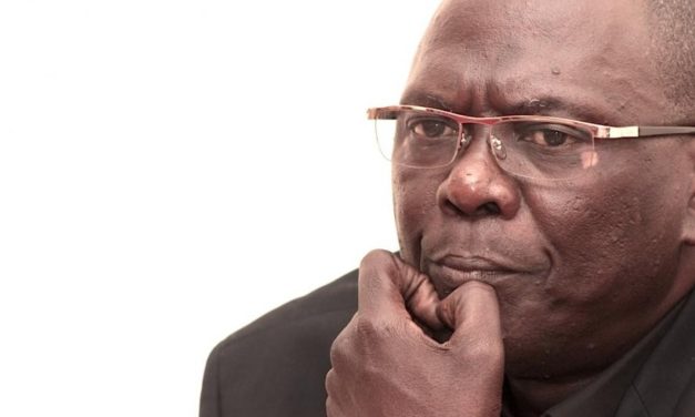 Hippopotame tué à Kédougou : la colère de Moustapha Diakhaté
