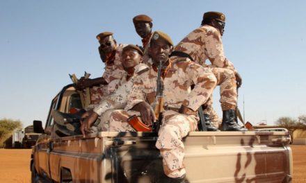 NIGER - L’armée subit ses plus lourdes pertes à Chinégodar avec 89 soldats tués