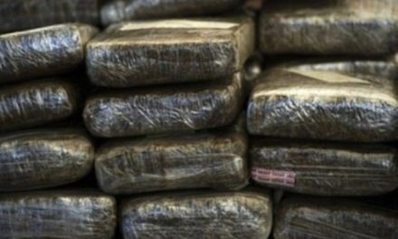 Statistiques sur la consommation de drogue au Sénégal-Le cannabis fait des ravages