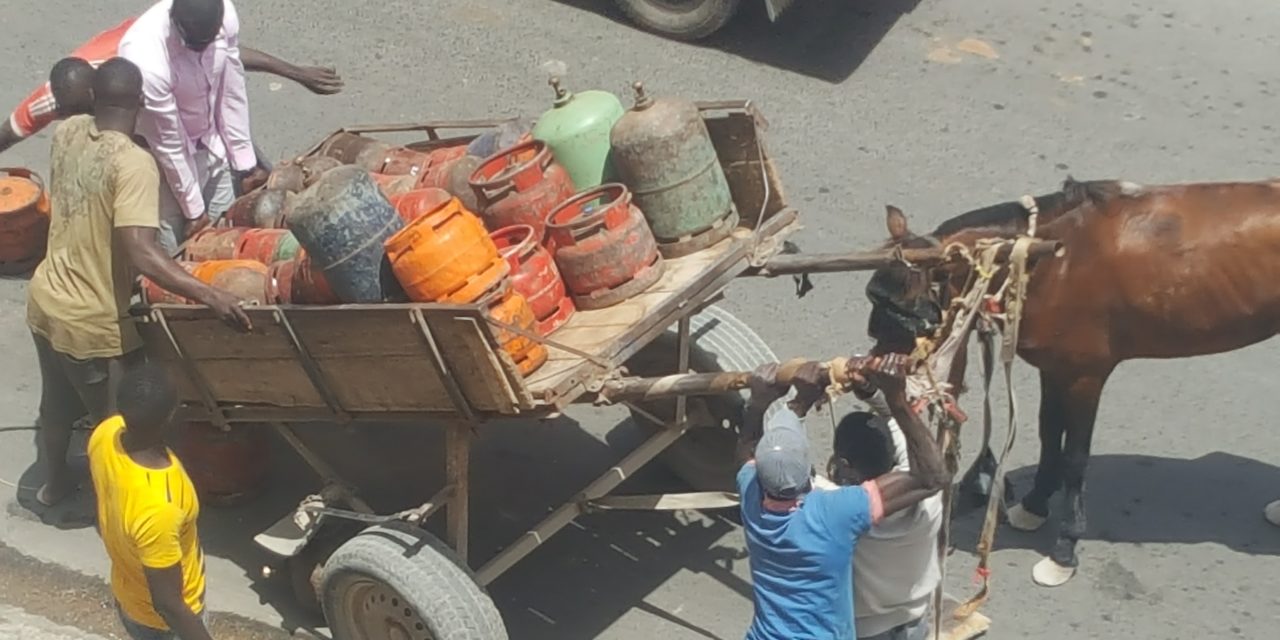 Liberté 6 : un cheval tombe après avoir subi une lourde charge.  Regardez. 