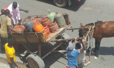 Liberté 6 : un cheval tombe après avoir subi une lourde charge.  Regardez. 