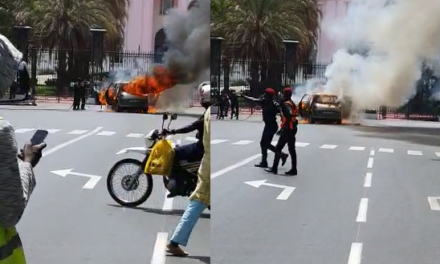 Une voiture de touristes prend feu devant le palais