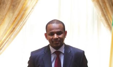 Dr Boubou Cissé  : portrait du nouveau Premier ministre malien