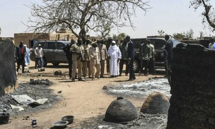 MALI - Un civil tué accidentellement par l'armée française