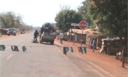 Arrestation de 40 jeunes pour vol de bétail : Tension à la frontière sénégalo-Bissau guinéenne