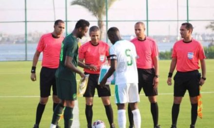 MATCH AMICAL : Les Lions déplument les Super Eagles