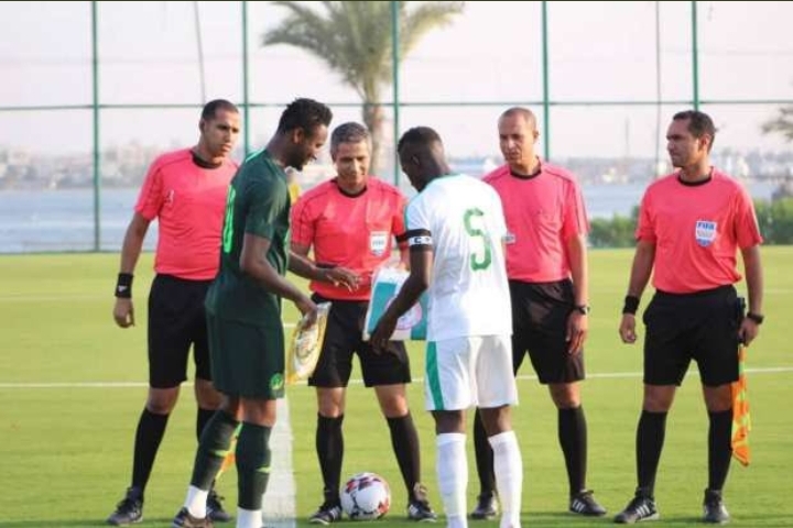 MATCH AMICAL : Les Lions déplument les Super Eagles