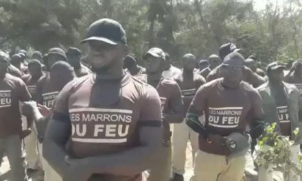 SIT-IN - Les "marrons du feu" déversent leur bile chez Macky Sall