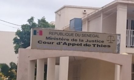 Affaires des faux médicaments de Touba : Un mandat d’arrêt lancé contre Mamadou Woury Diallo, gracié par Macky Sall
