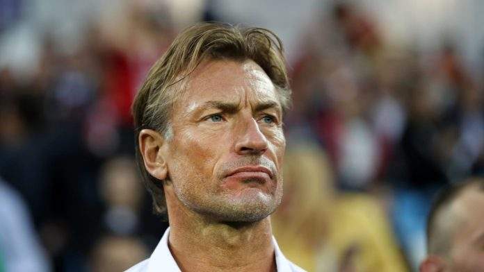 Rumeurs l'envoyant au Sénégal : Hervé Renard dément