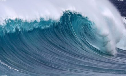 VENT FORT AU LARGE DE DAKAR ET SUR LA PETITE COTE - L’alerte de la météo