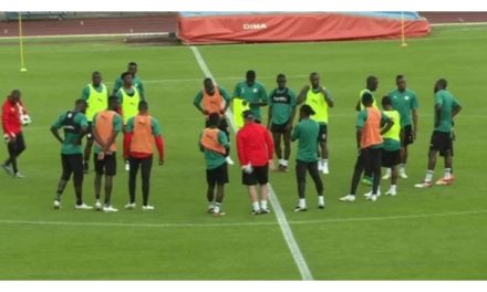 AMICAL SENEGAL - BRESIL : Premier galop des Lions ce lundi à Paris