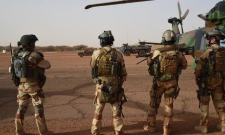 MALI - L'armée française tue 33 combattants terroristes