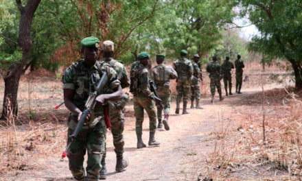 LENDEMAINS D'ATTAQUE EN CASAMANCE - L'armée riposte vigoureusement