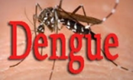 KAFFRINE  - Trois nouveaux cas de Dengue décelés