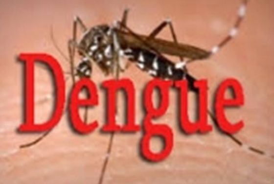 KAFFRINE  - Trois nouveaux cas de Dengue décelés