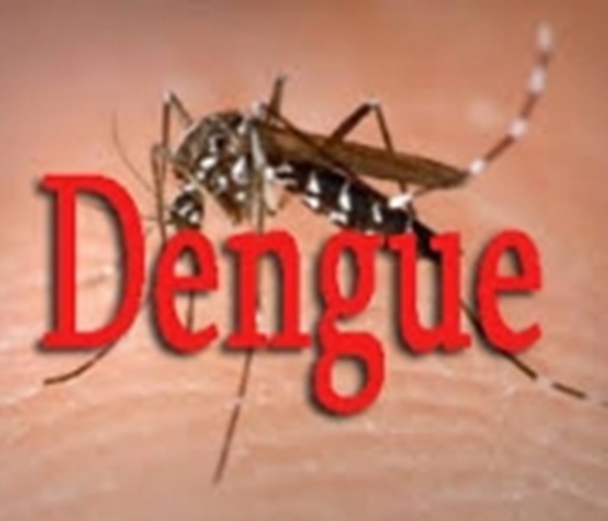 ALERTE - Après le Covid, le Sénégal face à la Dengue