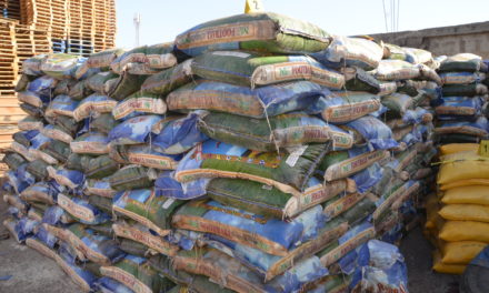 RIZ IMPROPRE A LA CONSOMMATION  - Plus de 150 tonnes saisies à la Rue Tolbiac à Dakar