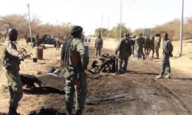 MALI - La France suspend les opérations militaires conjointes