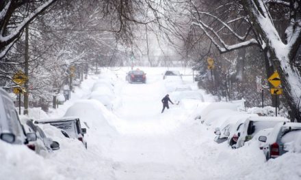 ETATS-UNIS - Une tempête de neige fait 10 morts, un millier de vols annulés