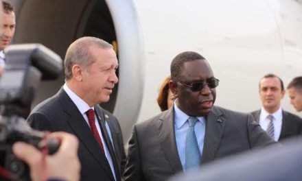 DIPLOMATIE - Macky, Erdoğan et l'entretien téléphonique