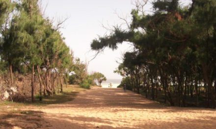 LITTORAL DE GUEDIAWAYE – Les jeunes révoltés après l’octroi de 8 ha à des Chinois