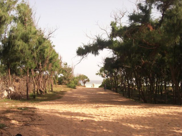 LITTORAL DE GUEDIAWAYE – Les jeunes révoltés après l’octroi de 8 ha à des Chinois