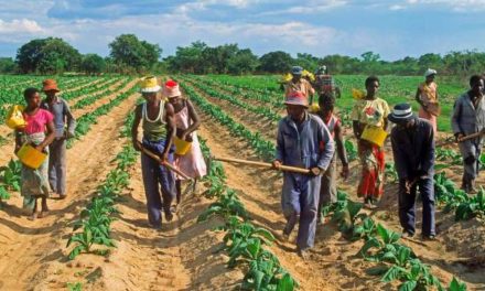 ACCAPAREMENT DES TERRES DU SÉNÉGAL - Le festin des multinationales