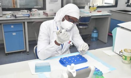 Coronavirus : 5 morts, 356 nouvelles contaminations