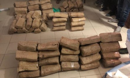 TRAFIC DE DROGUE - La Section de recherches intercepte 124 kg de chanvre indien