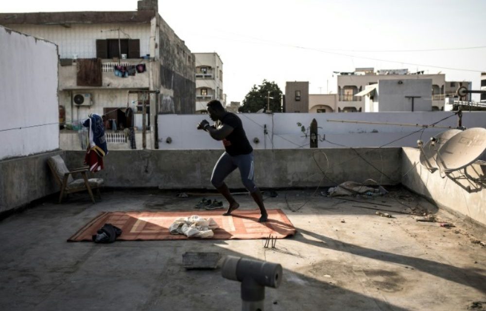 CORONAVIRUS A DAKAR - Les stars de la lutte sénégalaise s’entraînent à huis clos