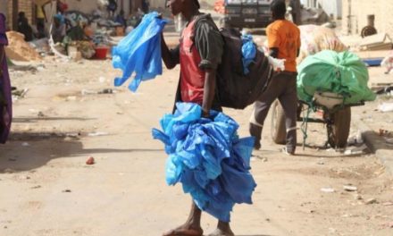 INTERDICTION DES SACHETS PLASTIQUES - Les acteurs de la filière demandent un délai raisonnable pour écouler leurs produits