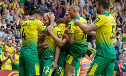 PREMIER LEAGUE - Deux cas positifs au coronavirus dont un joueur de Norwich