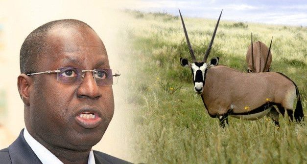 AFFAIRE DES ORYX - Abdou Karim Sall “clôt’’ le débat