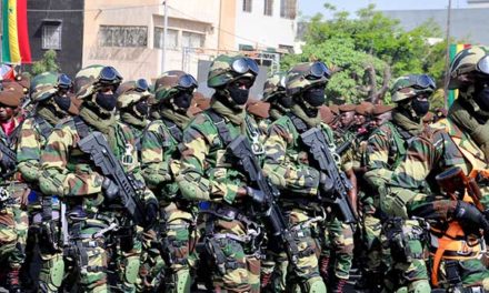 CASAMANCE - L’armée lance la grande offensive contre les bandes armées