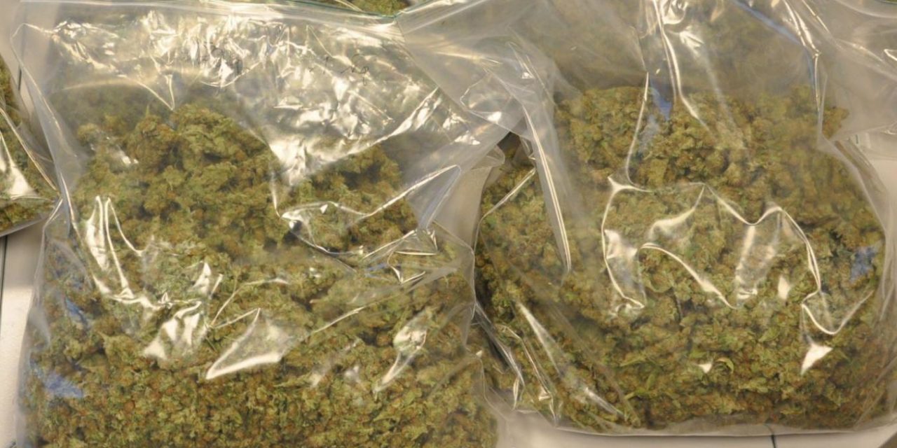 SEDHIOU - 84 kg de cannabis saisis sur des bergers de Karantaba