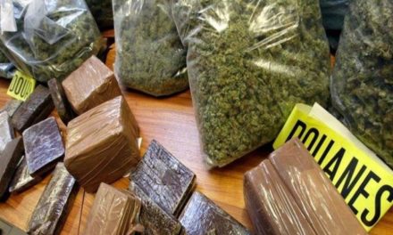 SÉDHIOU – 110 kg de cannabis saisis par les limiers