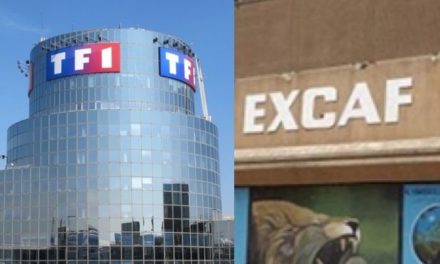JUSTICE  - Tf1 gagne son procès contre Excaf Telecom
