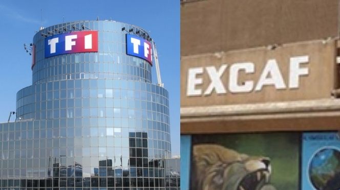 JUSTICE  - Tf1 gagne son procès contre Excaf Telecom