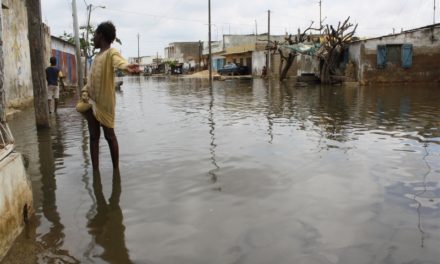 PROGRAMME D’ASSAINISSEMENT DES CITÉS RELIGIEUSES - L’évacuation des eaux pluviales «zappée» à Tivaouane