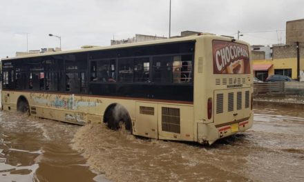 BANLIEUE – Dakar Dem Dikk suspend ses lignes