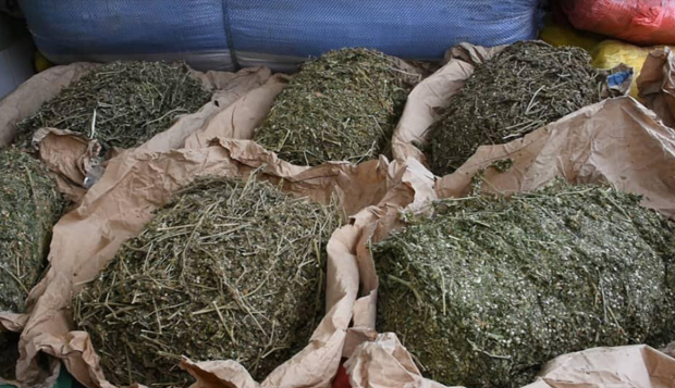 YARAKH - 40 kg de cannabis saisis