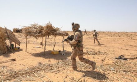 MALI - Plus de 50 djihadistes tués par Barkhane