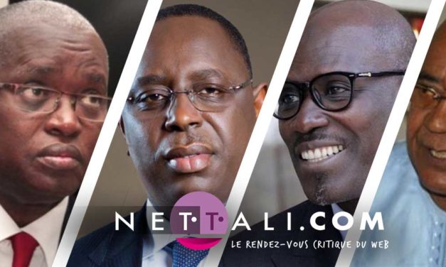 L'EDITO DE NETTALI.COM - Aux racines de la cacophonie !