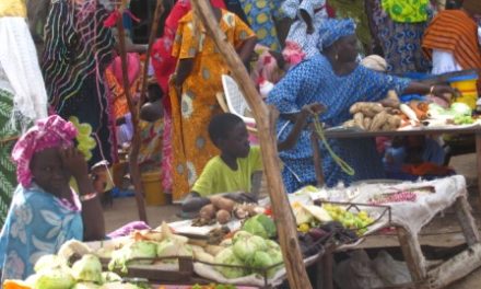 COVID-19  - La situation devient alarmante à Matam