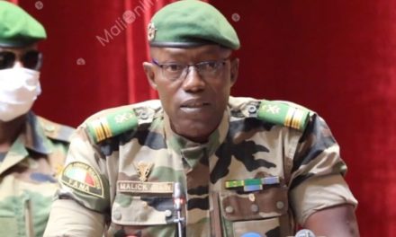 MALI - Le colonel Malick Diaw élu à la tête du Conseil de transition