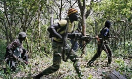 CONFLIT EN CASAMANCE - Noha Cissé craint une résurgence