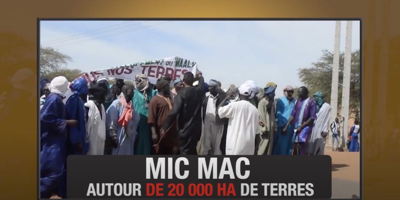 VIDEO - "Mic mac autour de 20 000ha de terre" : Le documentaire-enquête du journaliste Abdoulaye Cissé