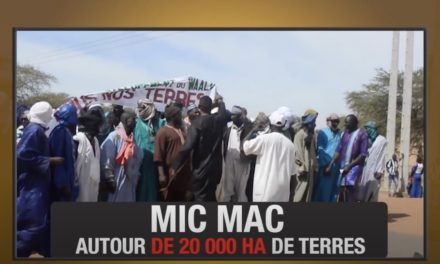 VIDEO - "Mic mac autour de 20 000ha de terre" : Le documentaire-enquête du journaliste Abdoulaye Cissé